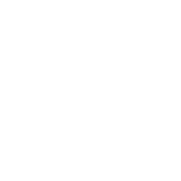 Fiscalização de Serviços Regulamentados.png