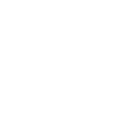 Laboratórios da Surrs.png