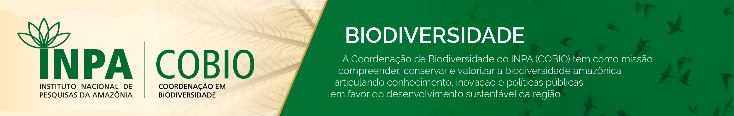 banner-biodiversidade-principal.png