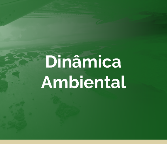 Dinâmica Ambiental