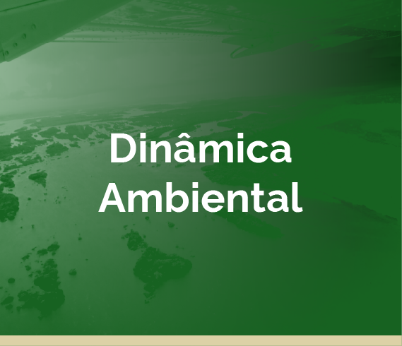 ir para dinâmica ambiental