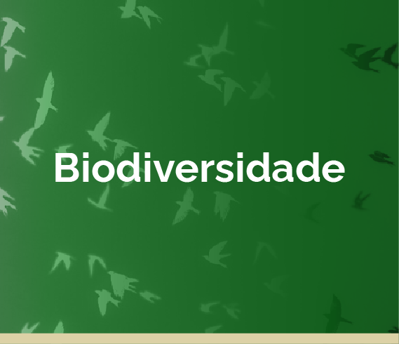 ir para Biodiversidade
