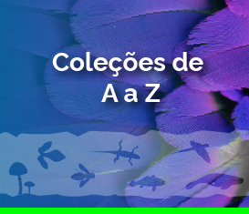 coleções-05.png