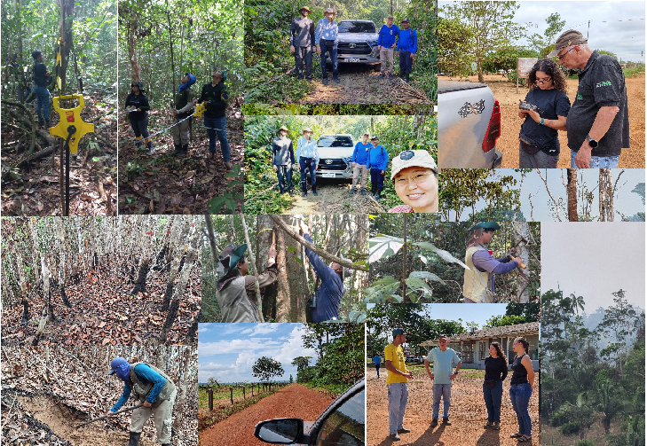 Atividades de campo realizadas no âmbito do projeto INCT VALAMB - 2025.