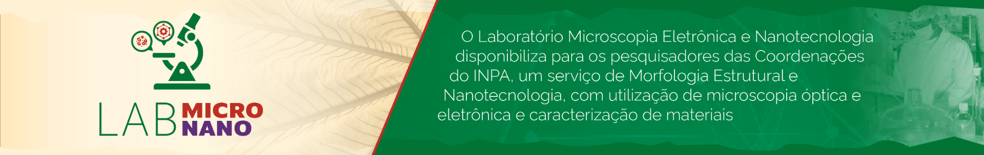 headerlabmicronano.png