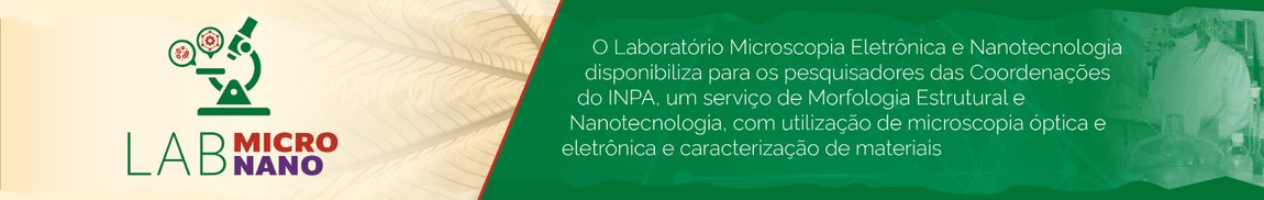 headerlabmicronano.png