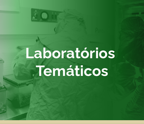 Laboratórios temáticos
