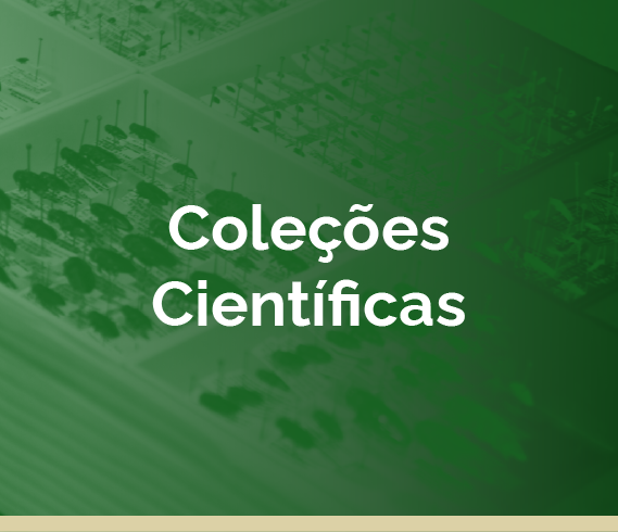 Coleções científicas