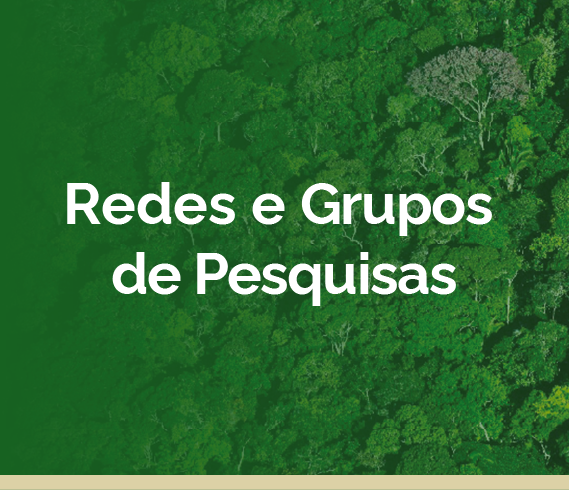 Rede e grupo de pesquisas