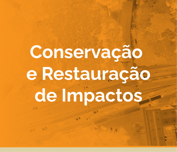 CONSERVAÇÃO E RESTAURAÇÃO DE IMPACTOS