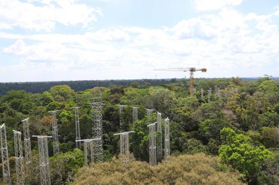 amazonface completa os aneis de pesquisa.jpeg