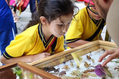 divulgação cioentiofica snct.jpeg