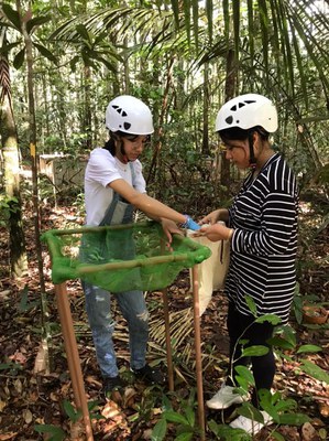 visista amazon face.jpeg