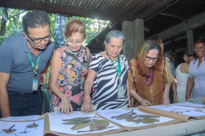 70 anos do Herbário INPA_Foto Camila Barbosa _Ascom Inpa (5).jpeg