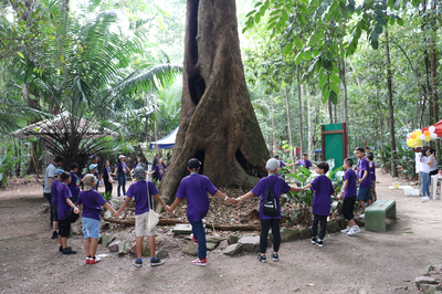 Bosque da Ciencia_Ilha da Tanimbuca _Foto Pedro Felipe_Ascom Inpa.png