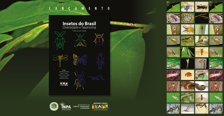 livro insetos do brasil 2ed PORTAL GOVBR (1).jpg