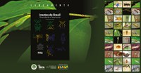 Nova edição do livro Insetos do Brasil amplia conhecimento sobre fauna de insetos brasileiros