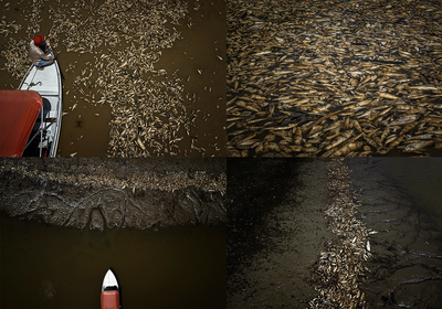 Foto: Raphael Alves.