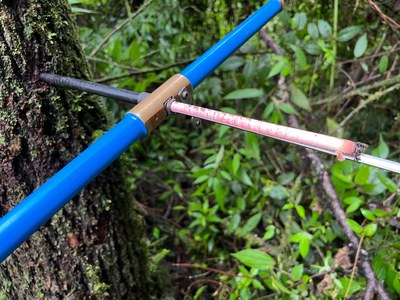 Extração de amostra de anéis de crescimento de uma árvore. Foto Roel Brienen..jpg