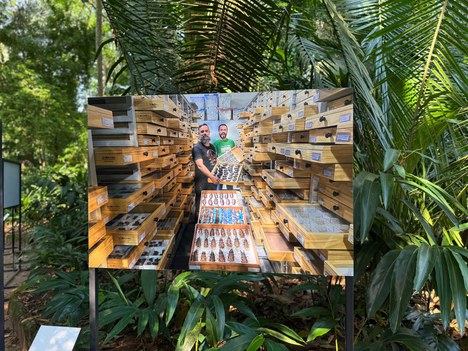 A imagem apresenta a Coleção Científica Biológica de Invertebrados do Instituto. Foto: Igor Souza- Ascom Inpa.