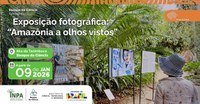 Bosque da Ciência abre a programação especial de 2026 com exposição fotográfica sobre a Amazônia