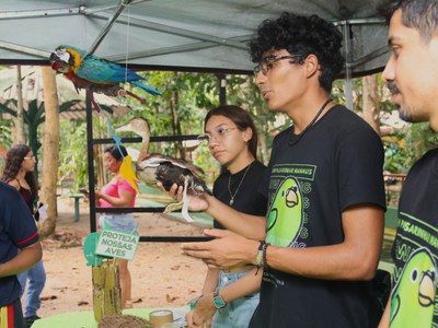 Atividade sobre aves amazônicas. Foto: Carol Sackser- Ascom Inpa.