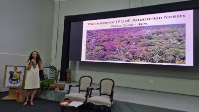 pesquisadora Flávia Costa.