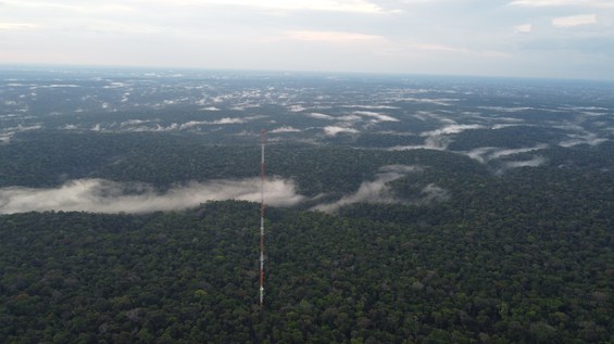 Projeto ATTO. Foto: Acervo MCTI.