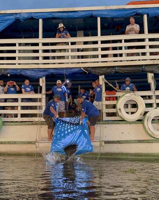 Etapa de soltura do projeto peixe-boi em 2025. Foto: Fernanda Farias Ascom/Ampa.