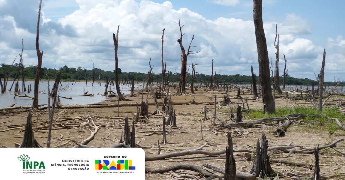 Da bioeconomia às ameaças  - Inpa e mais sete institutos da Pan-Amazônia unidos pelo desenvolvimento sustentável