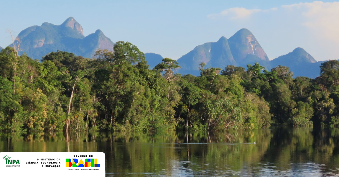 Expedição científica em São Gabriel da Cachoeira reúne pesquisadores do Brasil e pode revelar espécies inéditas