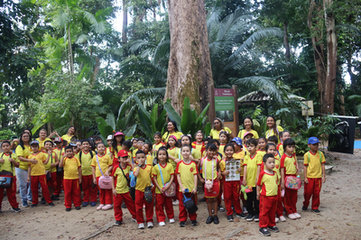 Semana do Meio Ambiente_ Ilha da Tanimbuca_Foto Fernanda Reis_Ascom Inpa.png