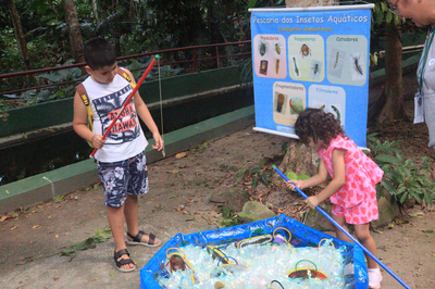 Semana do Meio Ambiente_ Insetos aquáticos_ Fernanda Reis_Ascom Inpa.png