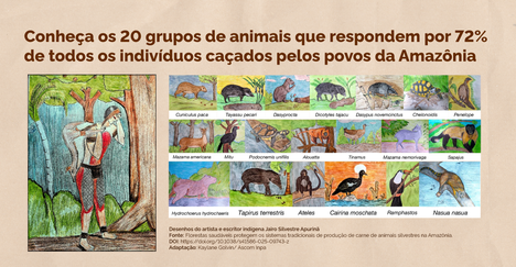 Artigo Nature_20 grupos de animais mais caçados_Desenhos Jairo Silvério Apurinã_organização Kaylane Golvin_Ascom Inpa.png