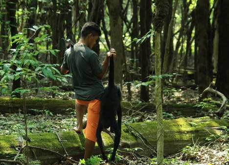 Caça de animais silvestres na Amazônia_Foto André Antunes_RedeFauna_Artigo Nature com participação de pesquisadores do INPA_2025 (6).JPG