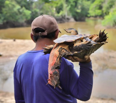 Caça de animais silvestres na Amazônia_Foto André Antunes_RedeFauna_Artigo Nature com participação de pesquisadores do INPA_2025 (8).JPG