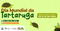 Inpa celebra o Dia Mundial da Tartaruga com programação voltada à conservação dos quelônios amazônicos