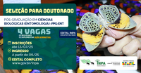 Inpa seleciona estudantes para doutorado em Entomologia com início em setembro de 2025
