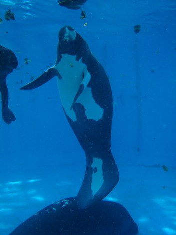 Foto: Divulgação Ampa.