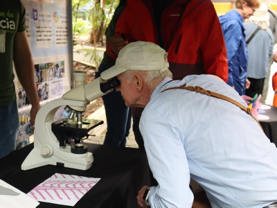 Visitantes observam brânquias afetadas por poluição. Foto: Paulo Vinicius PCE/ Inpa.