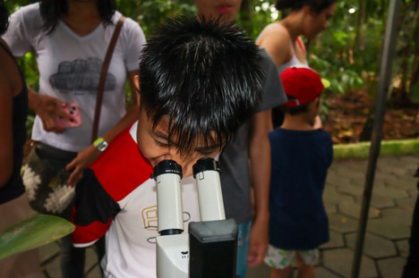 Criança em atividade educativa. Foto: Camila Barbosa- PCE/Inpa