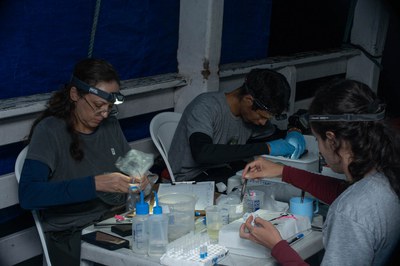 Expedição Alto Rio Içá_Foto Fernando Lessa_Field Museum (2).jpg