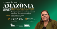 Seminários da Amazônia do Inpa discutem qualidade do ar  e os desafios para a saúde e o ambiente