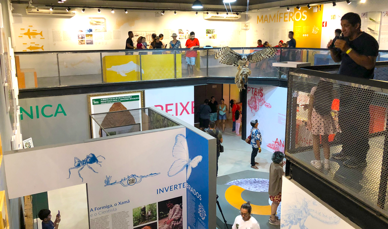 Casa da Ciencia do Bosque da ciencia . Foto Cimone Barros_Ascom Inpa.png