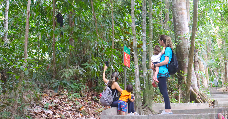 Familia visitando o Bosque da Ciência. Foto Ascom Inpa.png