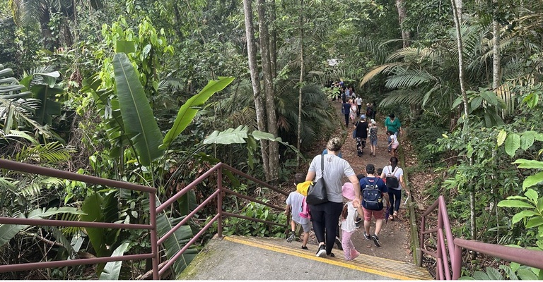 Trilha Bosque da Ciência_Foto Cimne Barros-Ascom Inpa.JPG