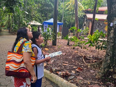 Judite Neves, e seu filho na atividade “A Biodiversidade que eu vejo no Bosque”. Foto: Valdete Araújo- Ascom Inpa.