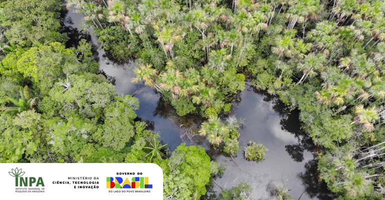 Banner - Site (1).jpg.jpeg