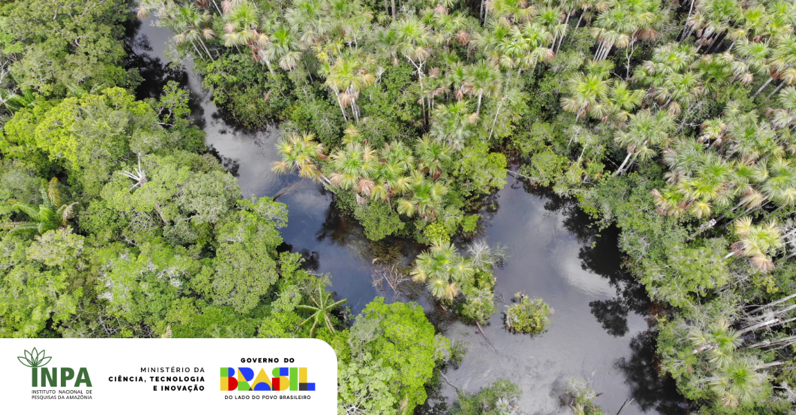 Pesquisadores do Inpa alertam para impactos de barragens e secas extremas sobre florestas alagáveis da Amazônia