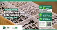 Inpa abre seleção para doutorado em Entomologia